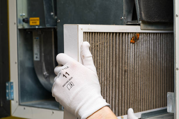 Best Professional Duct Cleaning Services  in Happy Valley, CA