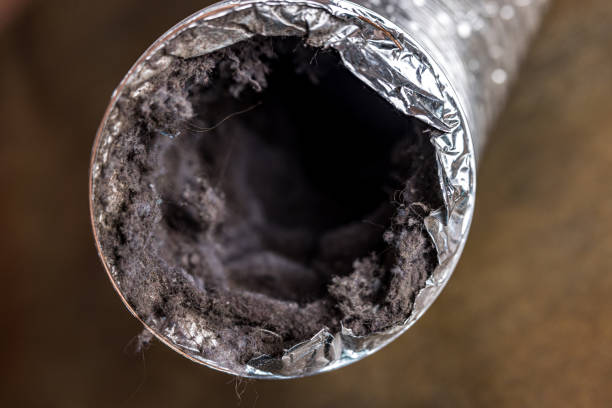 Best HVAC Maintenance and Cleaning  in Happy Valley, CA